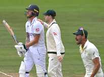 认为这是智 认为这是智